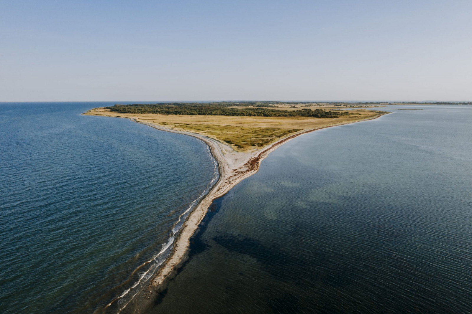 Foto: Sarah Green 2022